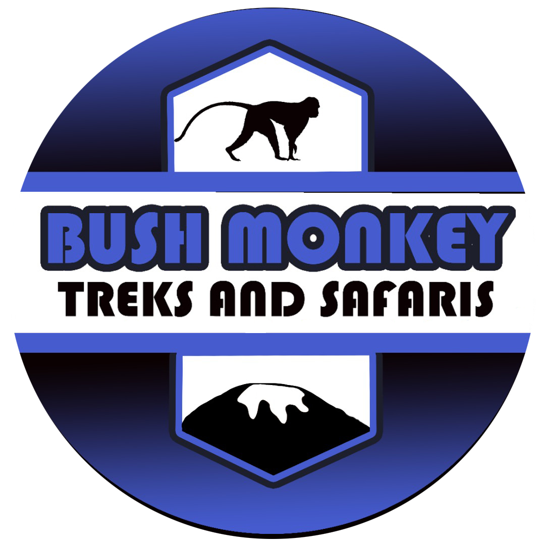 logo-BUSH MONKEY TREKS AND SAFARIS 
